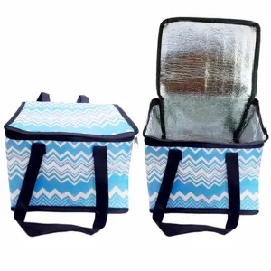 2pc Insulated Lunch Box for Men and Women Large Capacity Food Storage Cooler Bag